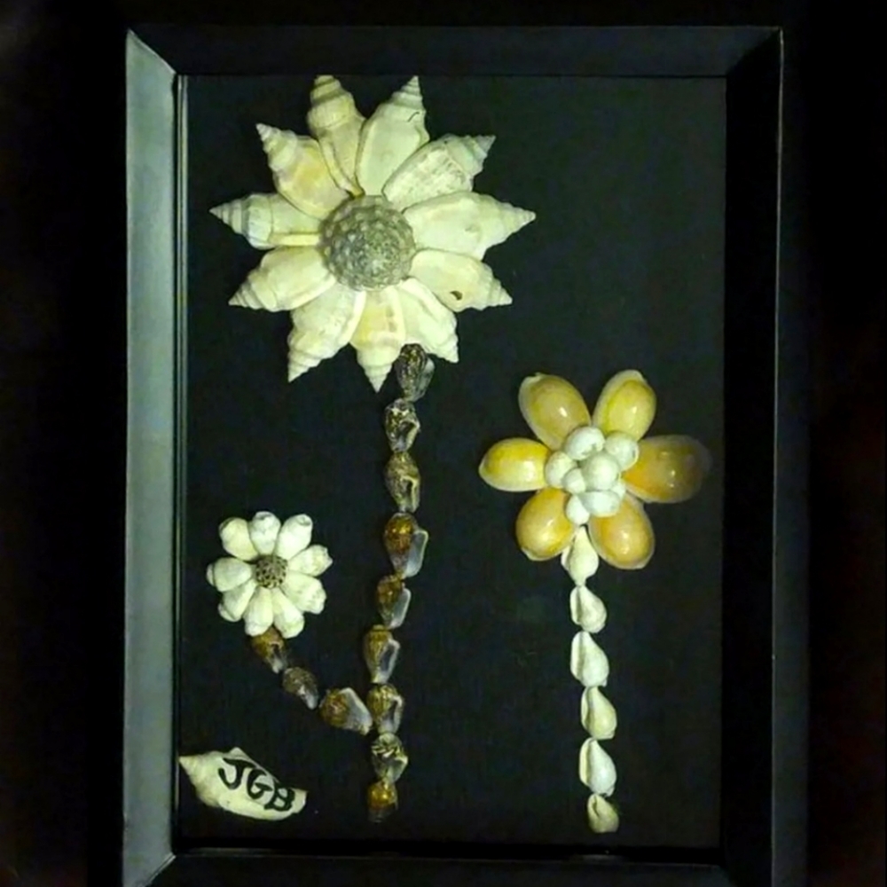 Framed Shell Wall Art 5x7inches